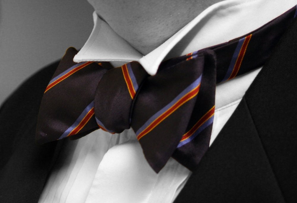Bow-tie-colour-isolated